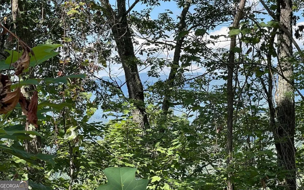 LOT 14 Mountain Harbour Hayesville, NC 28904