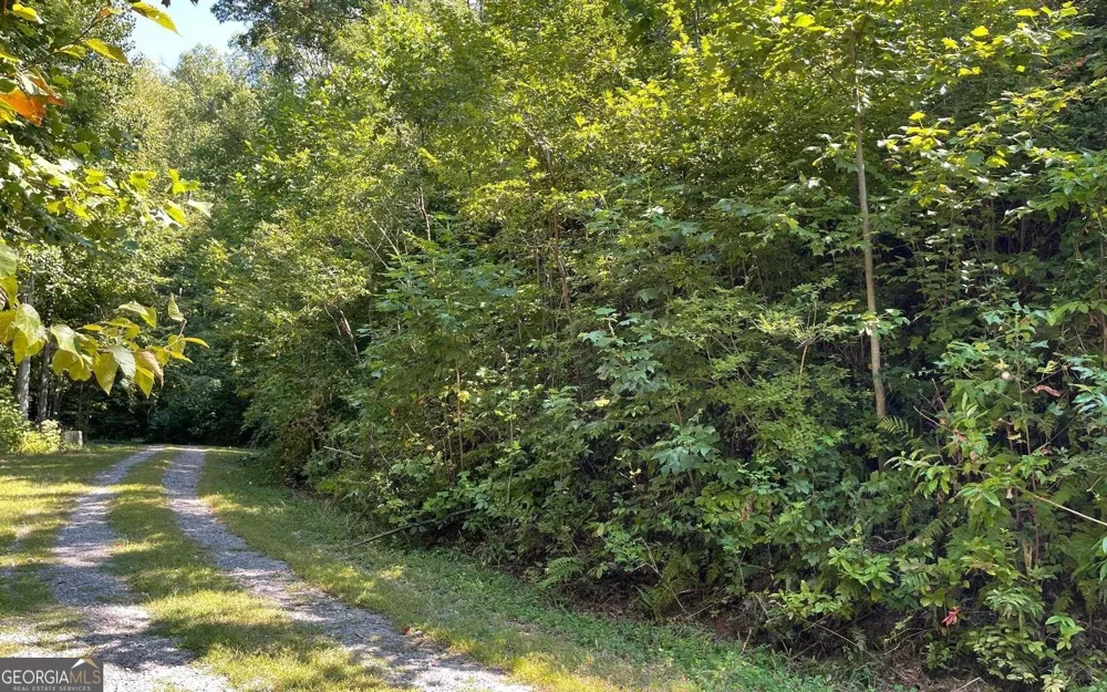 LOT 14 Mountain Harbour Hayesville, NC 28904
