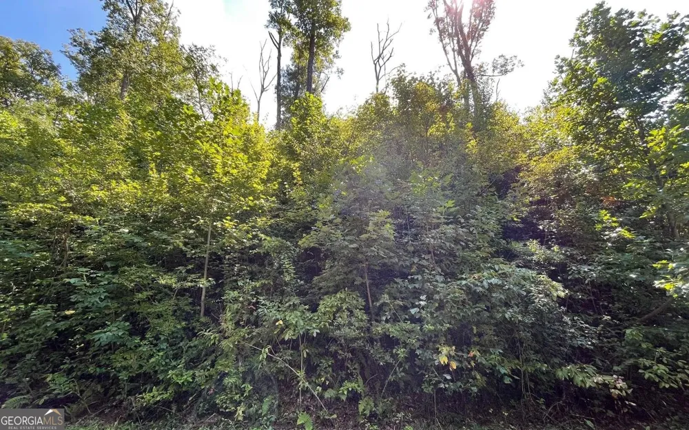 LOT 14 Mountain Harbour Hayesville, NC 28904