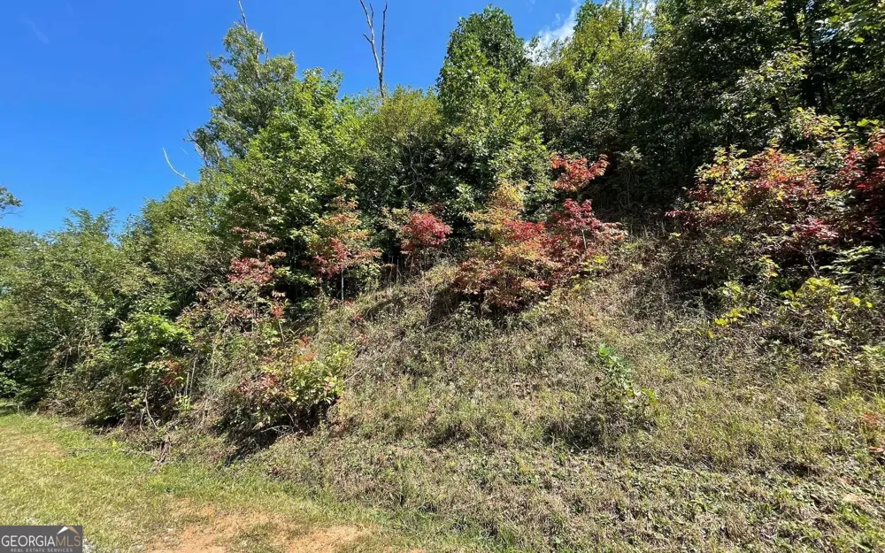 LOT 14 Mountain Harbour Hayesville, NC 28904