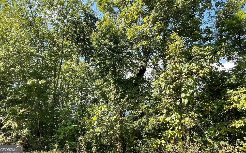 LOT 14 Mountain Harbour Hayesville, NC 28904