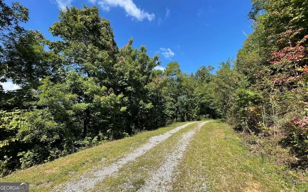 LOT 14 Mountain Harbour Hayesville, NC 28904