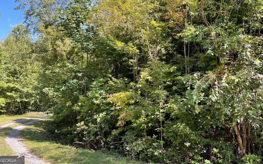 LOT 14 Mountain Harbour Hayesville, NC 28904