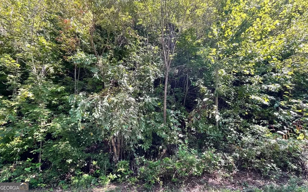 LOT 14 Mountain Harbour Hayesville, NC 28904