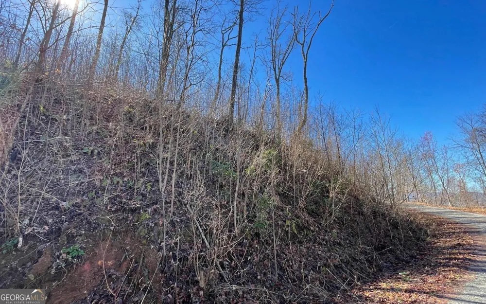 LOT 14 Mountain Harbour Hayesville, NC 28904