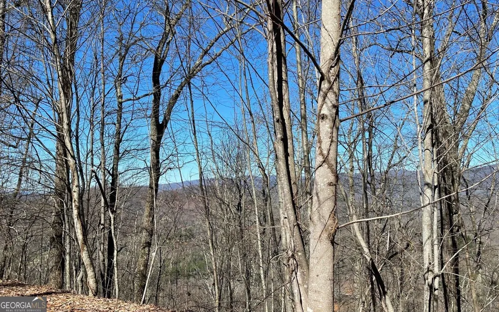 LOT 14 Mountain Harbour Hayesville, NC 28904