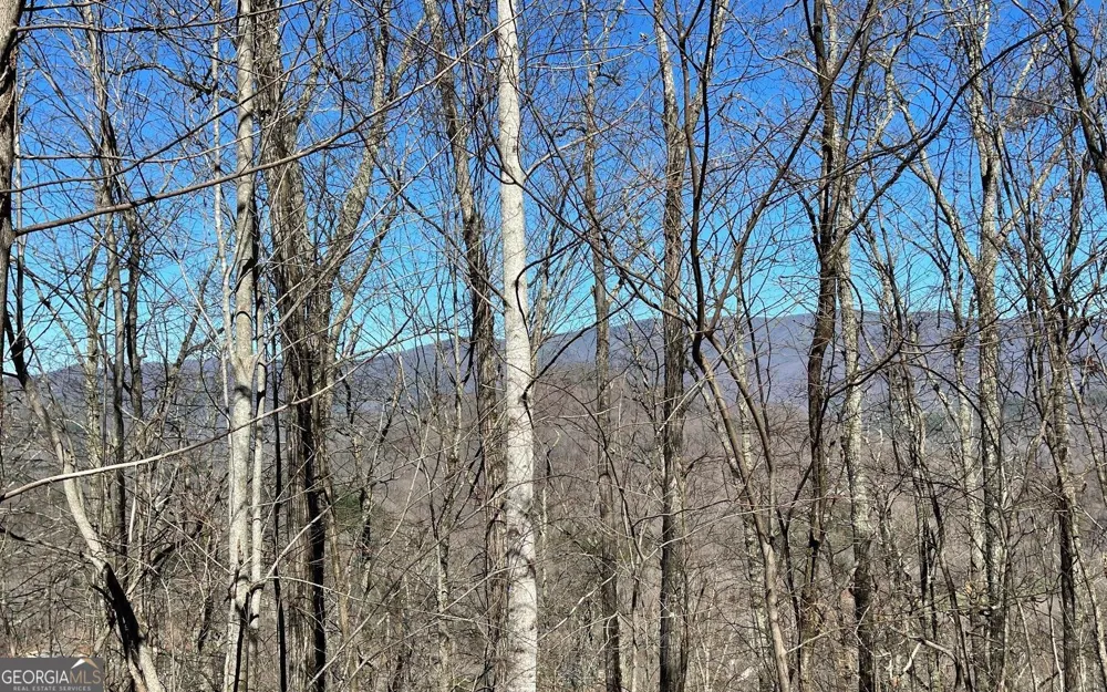 LOT 14 Mountain Harbour Hayesville, NC 28904