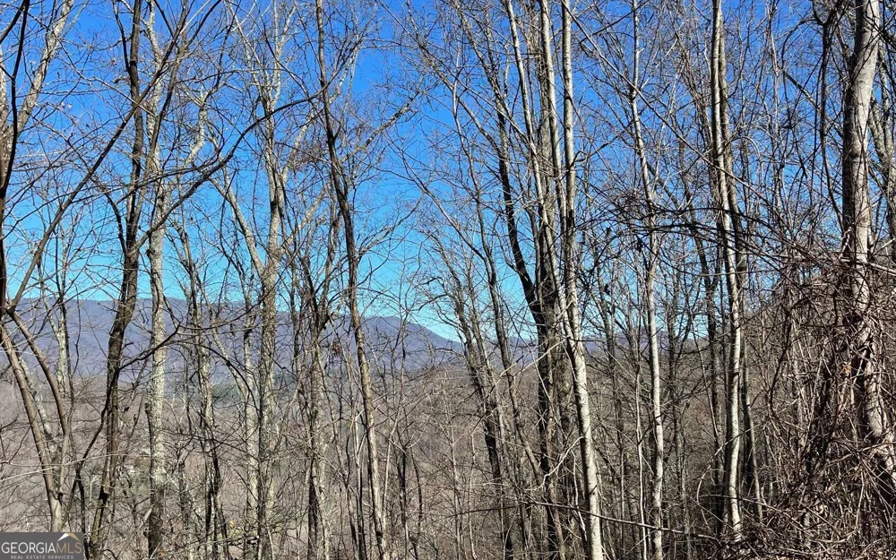 LOT 14 Mountain Harbour Hayesville, NC 28904