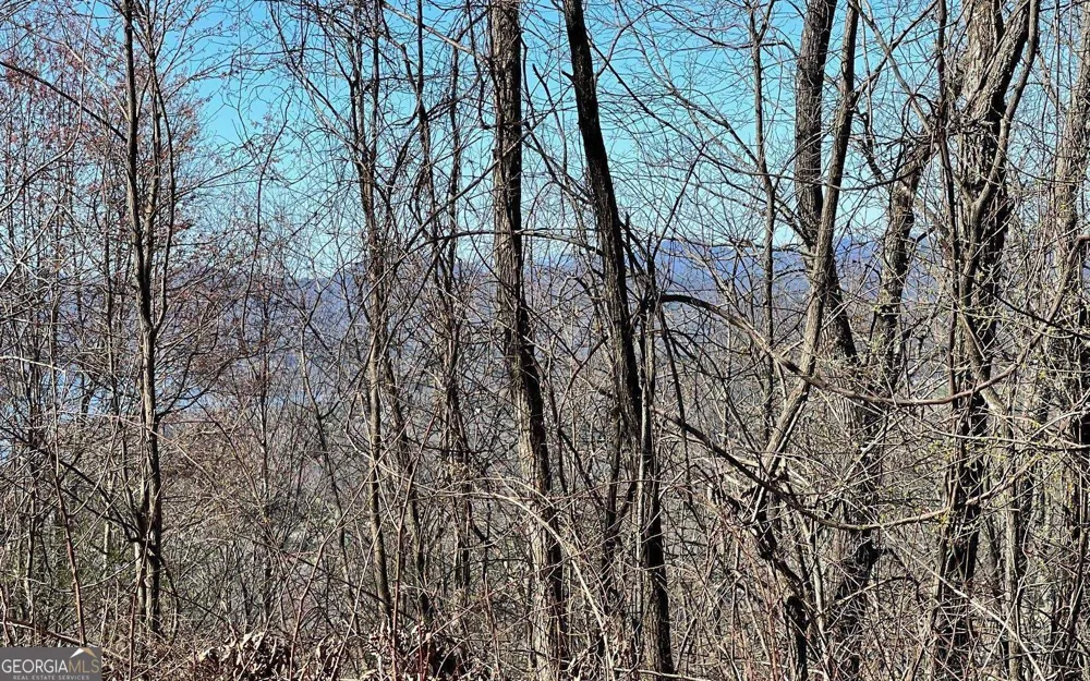 LOT 14 Mountain Harbour Hayesville, NC 28904