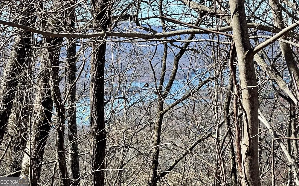 LOT 14 Mountain Harbour Hayesville, NC 28904