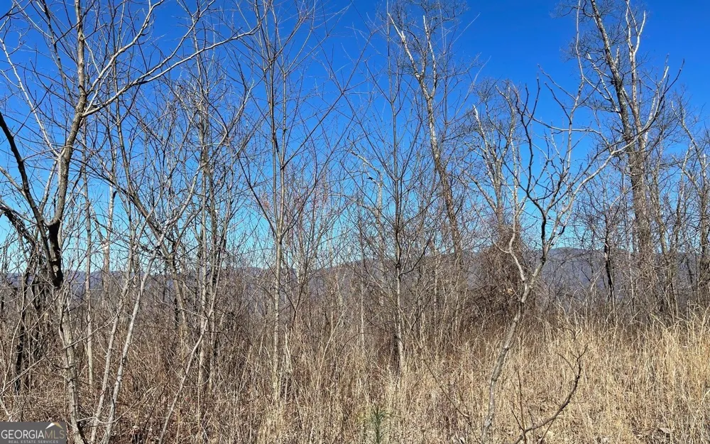 LOT 14 Mountain Harbour Hayesville, NC 28904