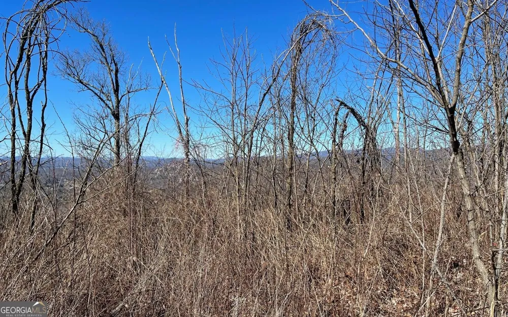LOT 14 Mountain Harbour Hayesville, NC 28904