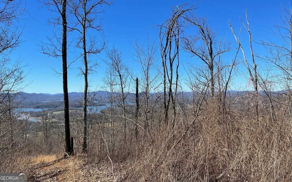 LOT 14 Mountain Harbour Hayesville, NC 28904