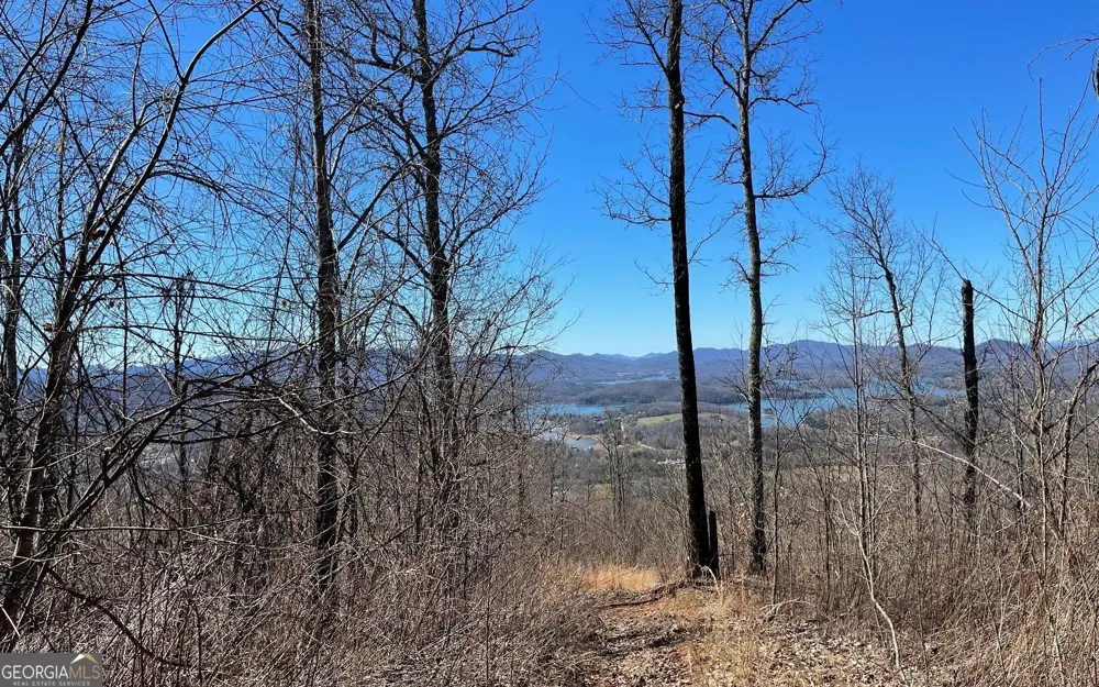 LOT 14 Mountain Harbour Hayesville, NC 28904