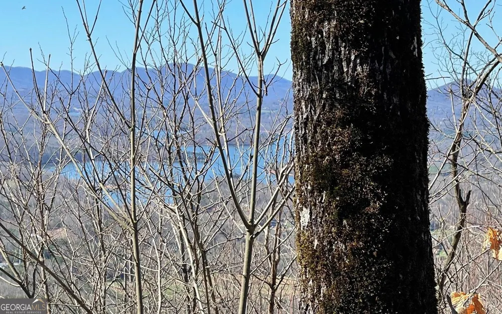 LOT 14 Mountain Harbour Hayesville, NC 28904