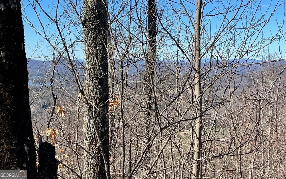 LOT 14 Mountain Harbour Hayesville, NC 28904