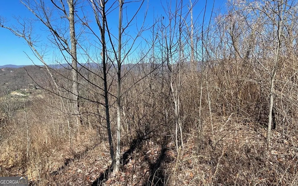 LOT 14 Mountain Harbour Hayesville, NC 28904