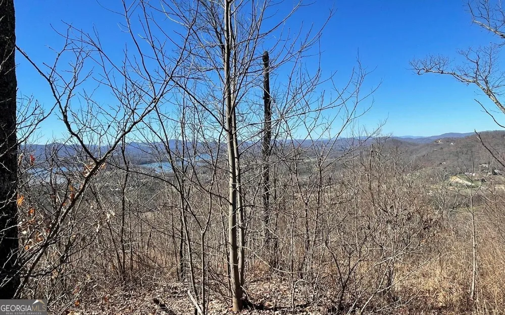 LOT 14 Mountain Harbour Hayesville, NC 28904