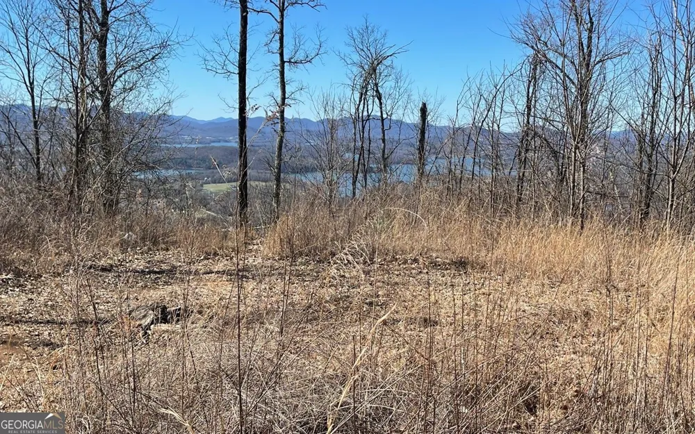 LOT 14 Mountain Harbour Hayesville, NC 28904