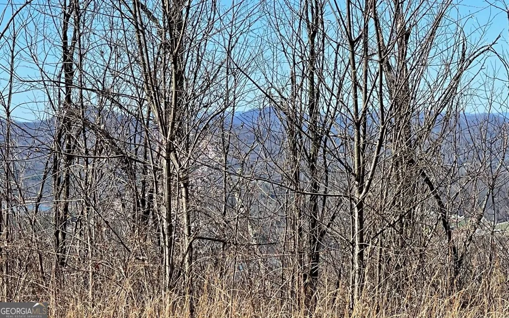 LOT 14 Mountain Harbour Hayesville, NC 28904