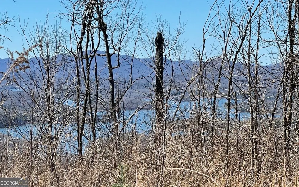 LOT 14 Mountain Harbour Hayesville, NC 28904