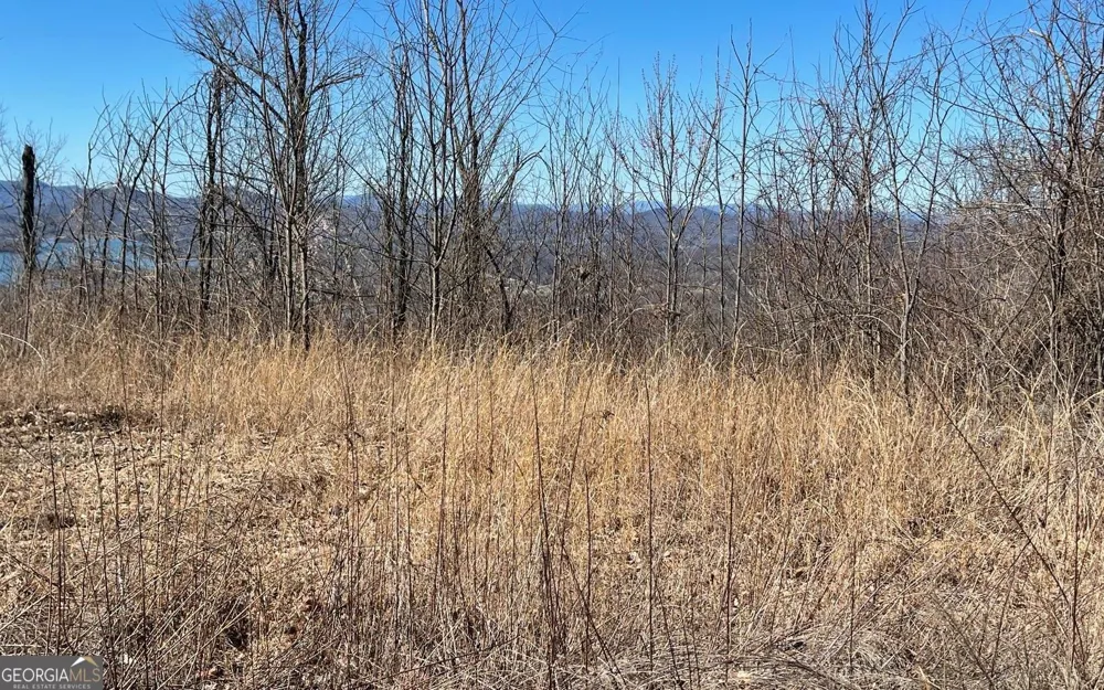 LOT 14 Mountain Harbour Hayesville, NC 28904