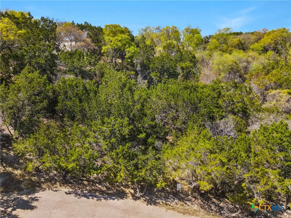 6537 Tallow Drive Belton, TX 76513