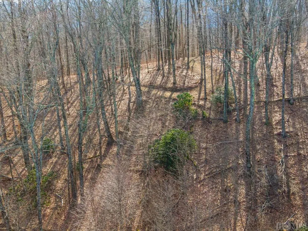 PS 1&2 Panther Summit Drive Lake Toxaway, NC 28747
