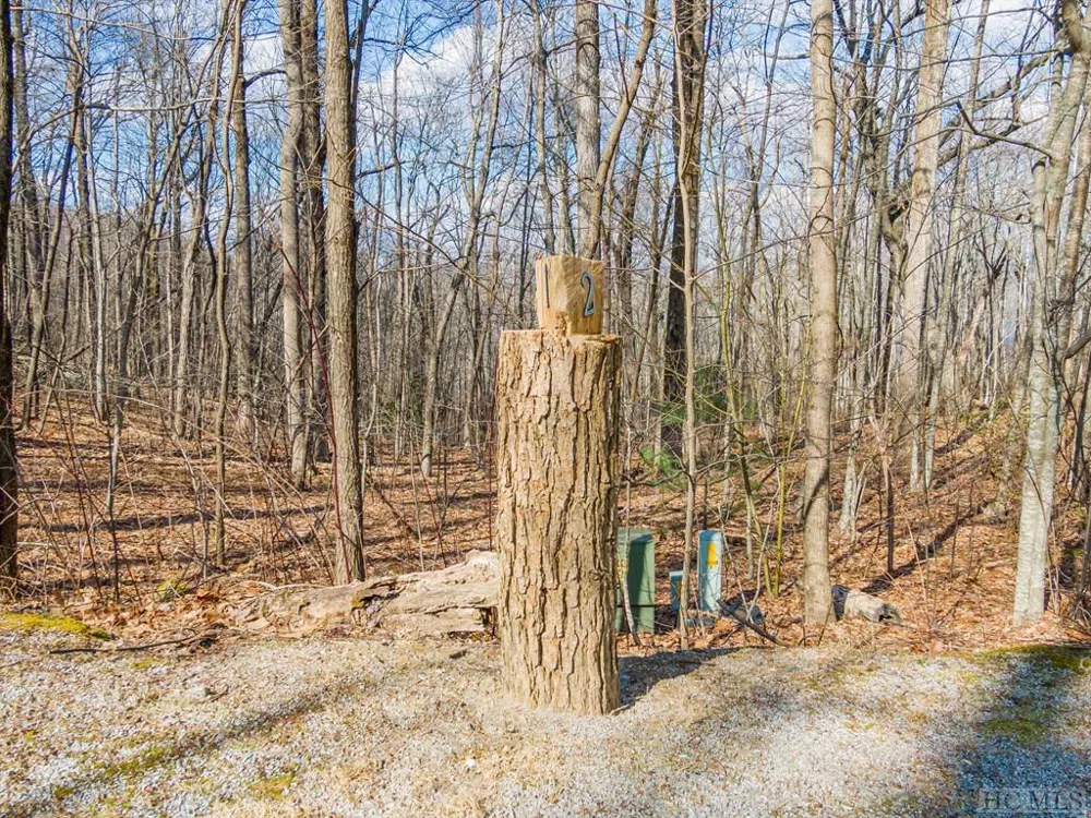 PS 1&2 Panther Summit Drive Lake Toxaway, NC 28747