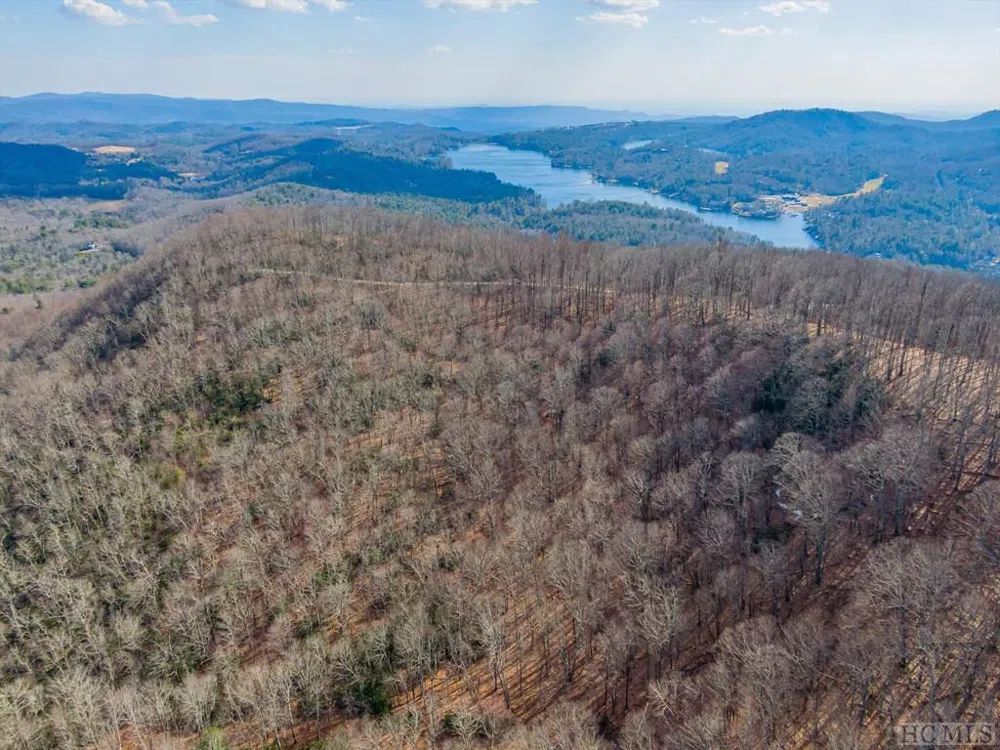 PS 1&2 Panther Summit Drive Lake Toxaway, NC 28747