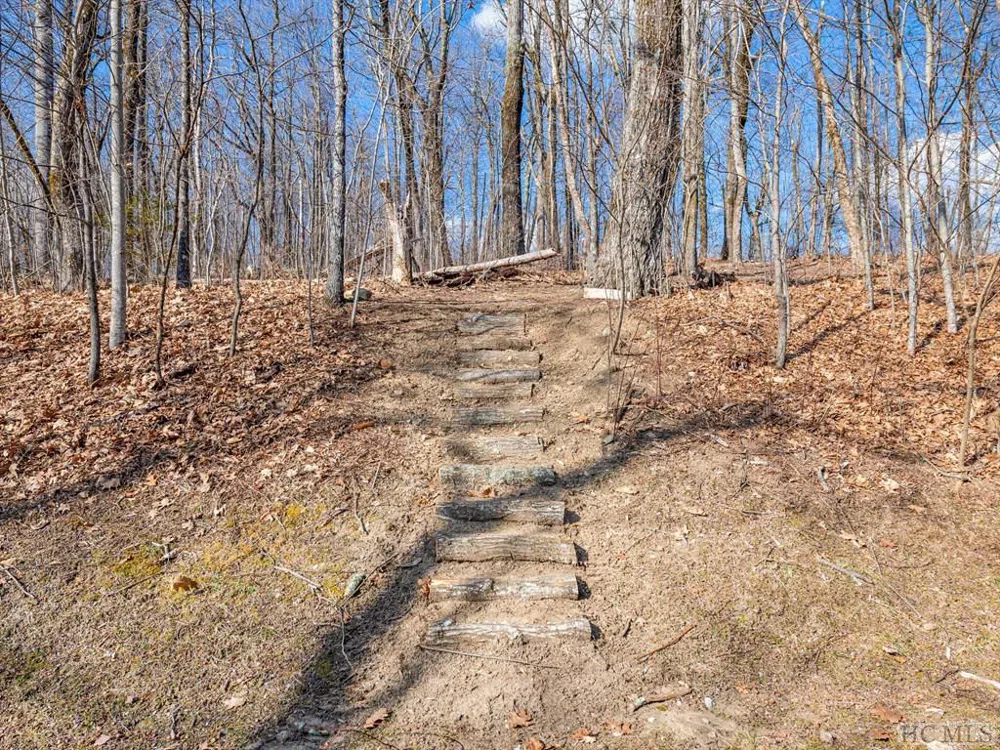 PS 1&2 Panther Summit Drive Lake Toxaway, NC 28747