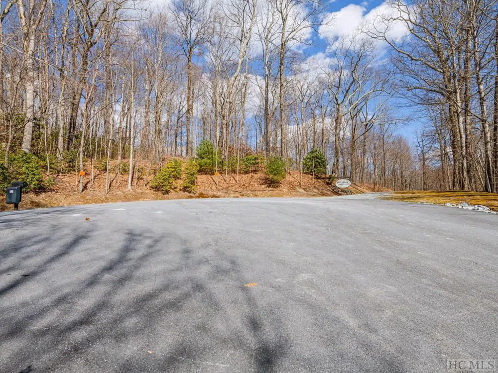PS 1&2 Panther Summit Drive Lake Toxaway, NC 28747