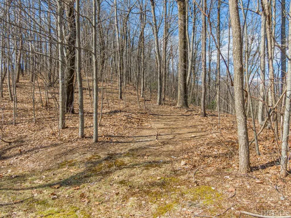 PS 1&2 Panther Summit Drive Lake Toxaway, NC 28747