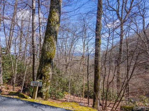 165 Windrush Trail