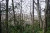 TBD Summit Trail