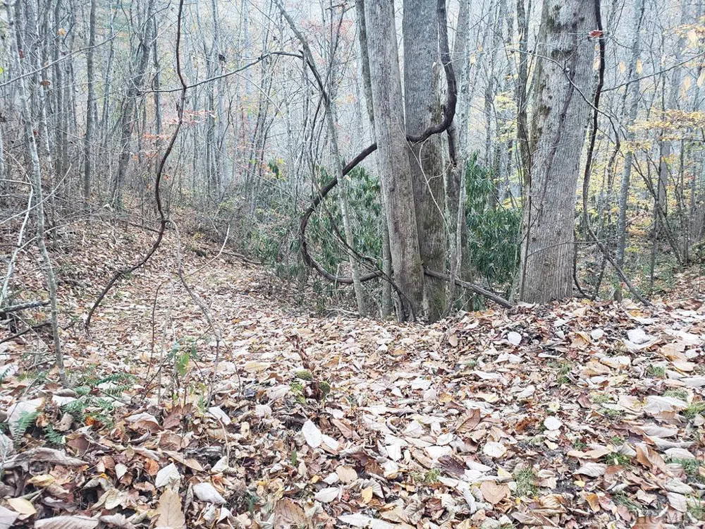 13 Hares Ear Tuckasegee, NC 28783