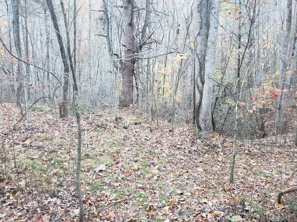 13 Hares Ear Tuckasegee, NC 28783