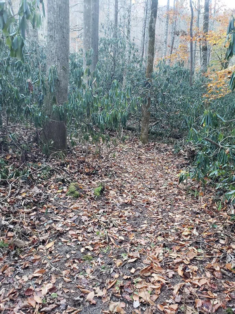13 Hares Ear Tuckasegee, NC 28783