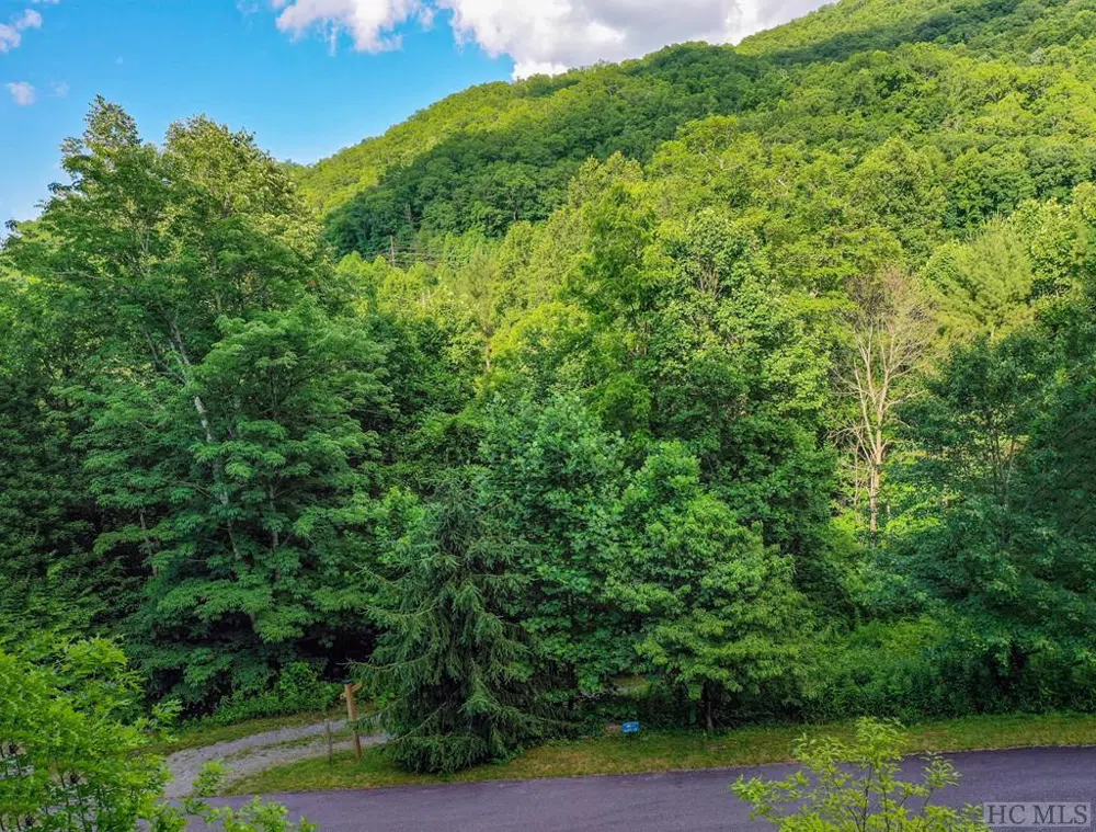 13 Hares Ear Tuckasegee, NC 28783
