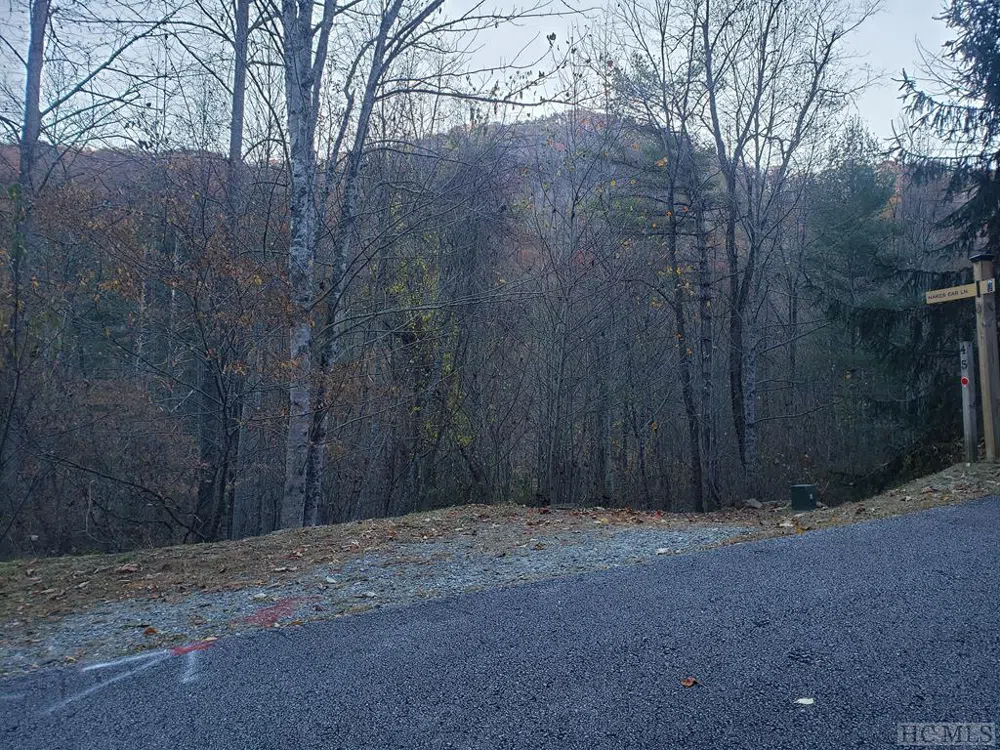 13 Hares Ear Tuckasegee, NC 28783