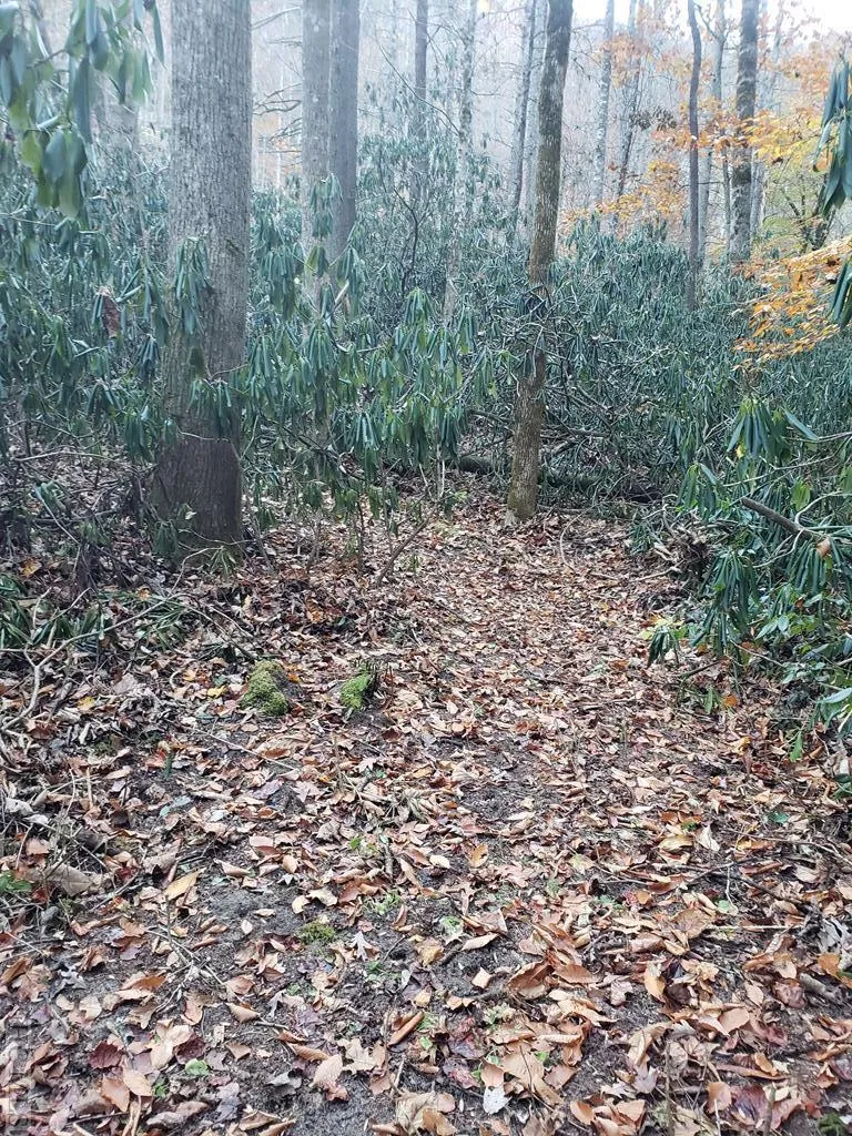 13 Hares Ear Tuckasegee, NC 28783