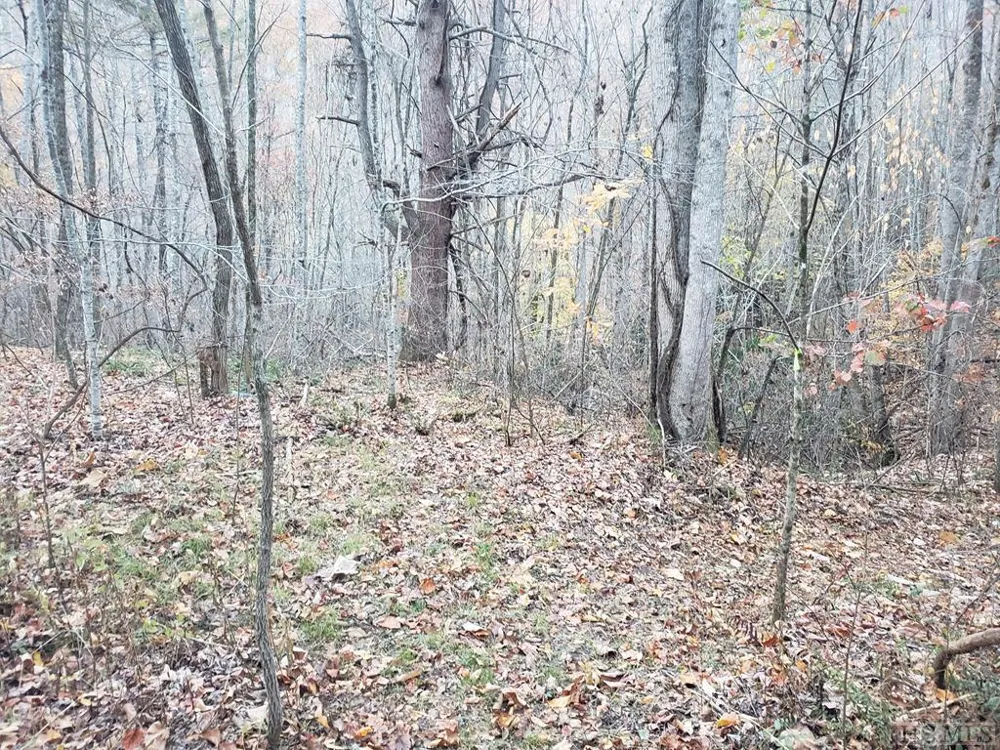 13 Hares Ear Tuckasegee, NC 28783