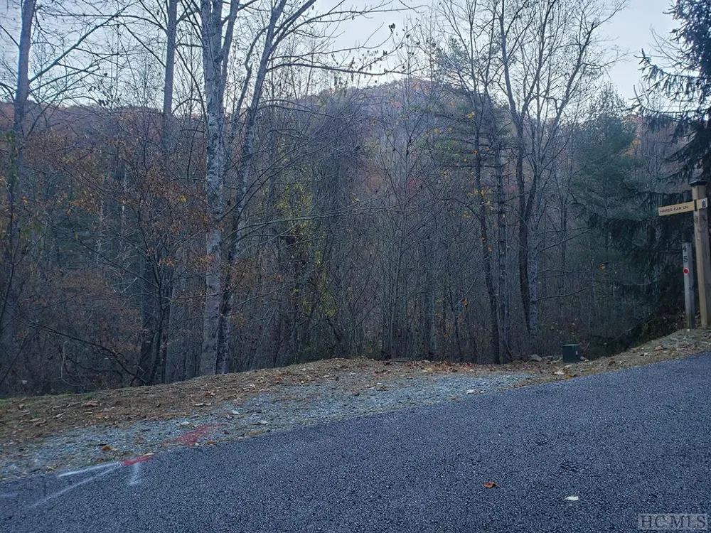 13 Hares Ear Tuckasegee, NC 28783