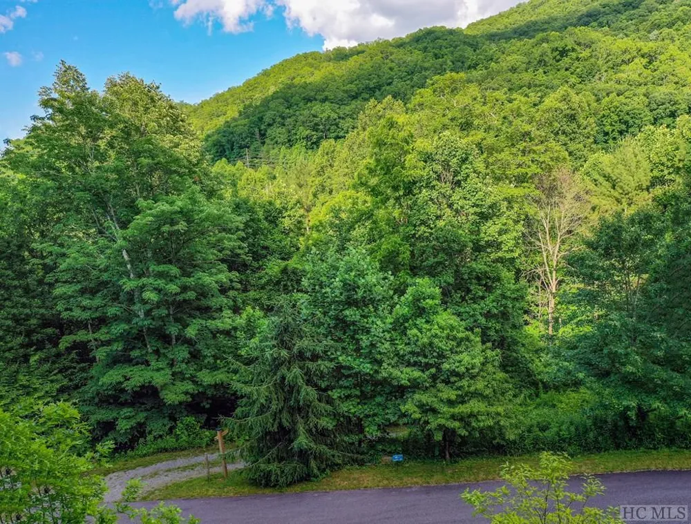 13 Hares Ear Tuckasegee, NC 28783