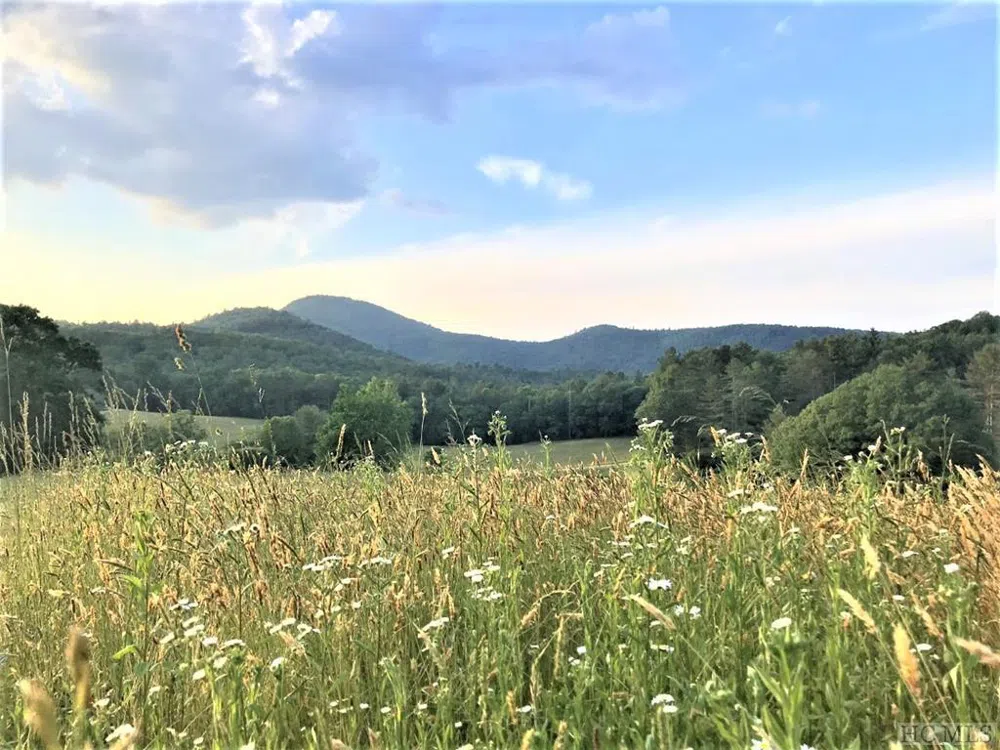 RT-8 Broadwing Cashiers, NC 28717
