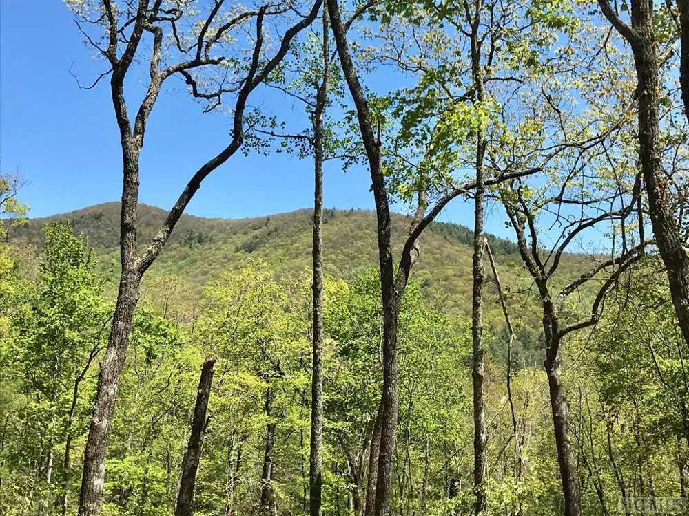 RT-8 Broadwing Cashiers, NC 28717