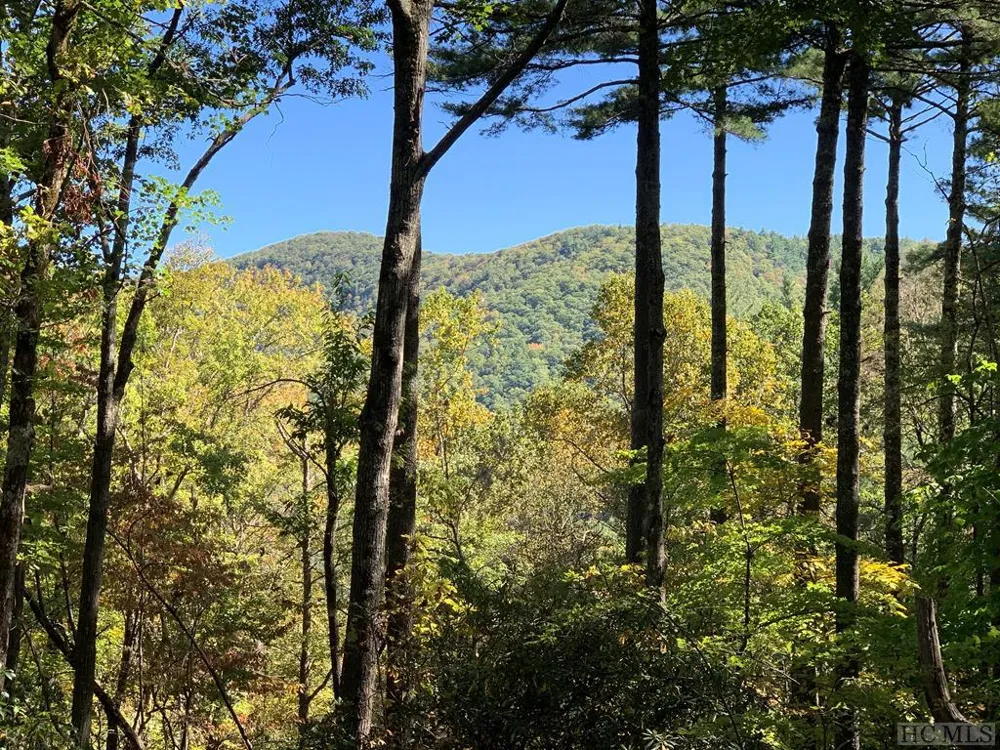 RT-8 Broadwing Cashiers, NC 28717