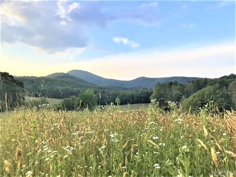 RT-8 Broadwing Cashiers, NC 28717