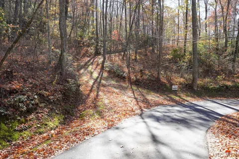 none Silly Ridge Road