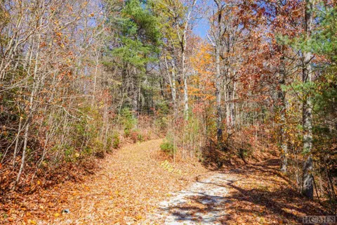 00 Silly Ridge Road